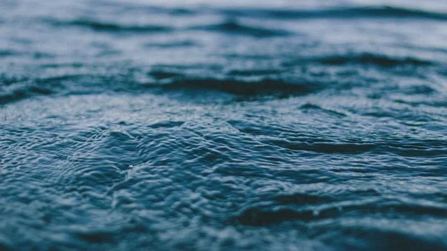 欧冠直播